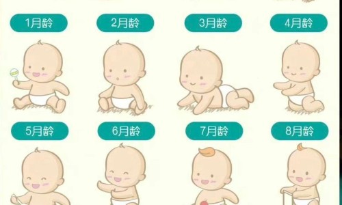 四个月的婴儿可以添加什么辅食网-分享四个月婴儿的育儿方法，四个月的婴儿身高体重标准是多少知识库